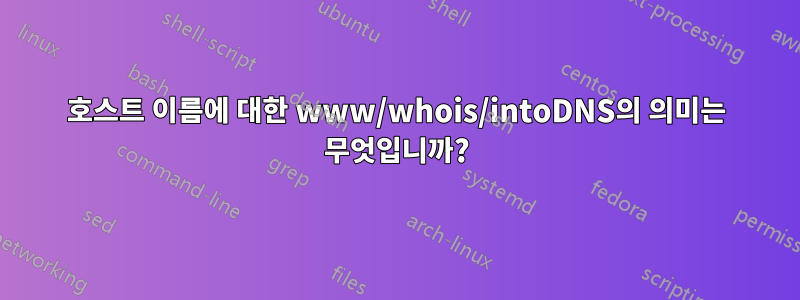 호스트 이름에 대한 www/whois/intoDNS의 의미는 무엇입니까?