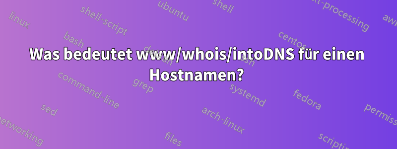 Was bedeutet www/whois/intoDNS für einen Hostnamen?