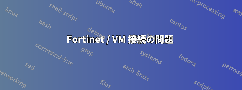 Fortinet / VM 接続の問題