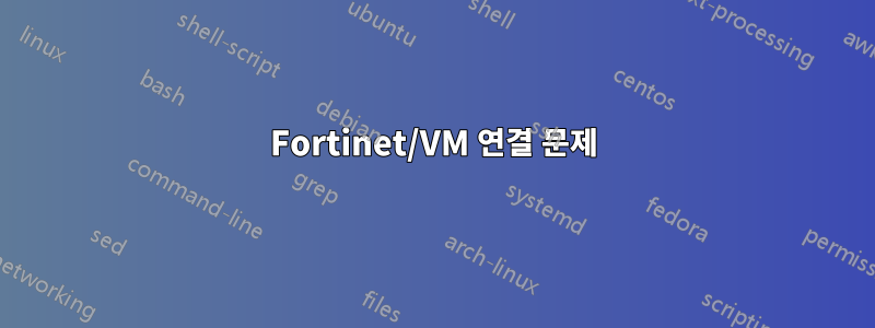 Fortinet/VM 연결 문제