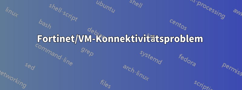 Fortinet/VM-Konnektivitätsproblem