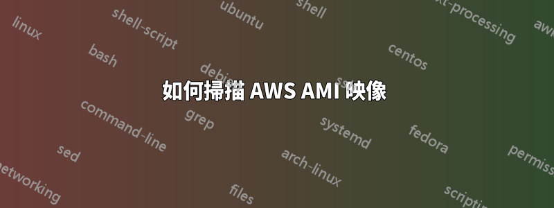 如何掃描 AWS AMI 映像