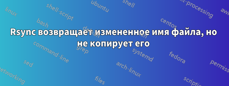 Rsync возвращает измененное имя файла, но не копирует его