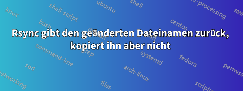 Rsync gibt den geänderten Dateinamen zurück, kopiert ihn aber nicht