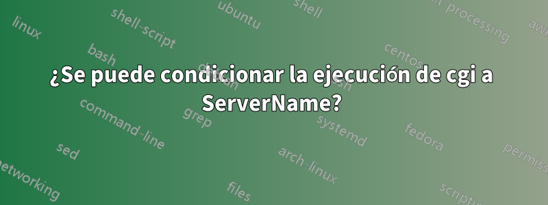 ¿Se puede condicionar la ejecución de cgi a ServerName?