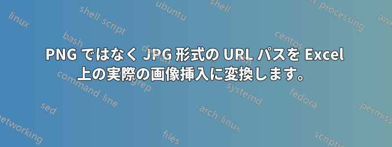 PNG ではなく JPG 形式の URL パスを Excel 上の実際の画像挿入に変換します。