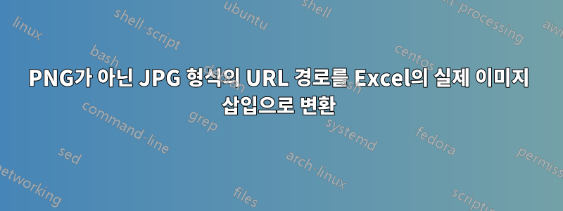 PNG가 아닌 JPG 형식의 URL 경로를 Excel의 실제 이미지 삽입으로 변환