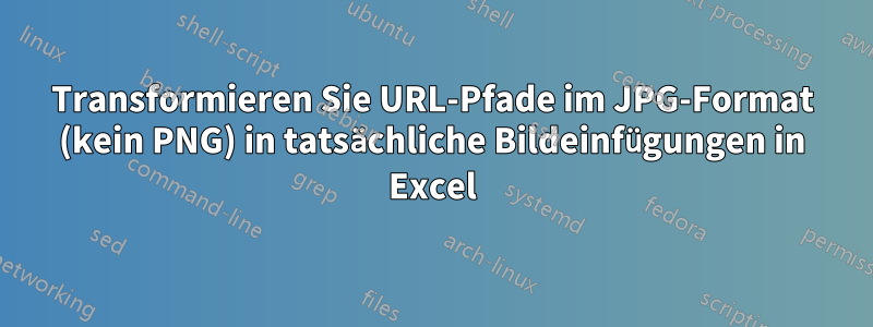 Transformieren Sie URL-Pfade im JPG-Format (kein PNG) in tatsächliche Bildeinfügungen in Excel