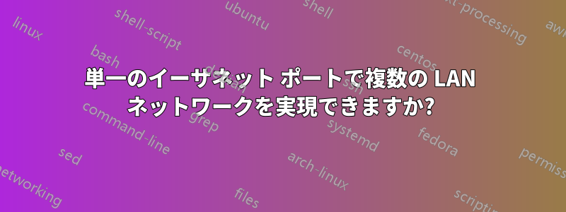 単一のイーサネット ポートで複数の LAN ネットワークを実現できますか?