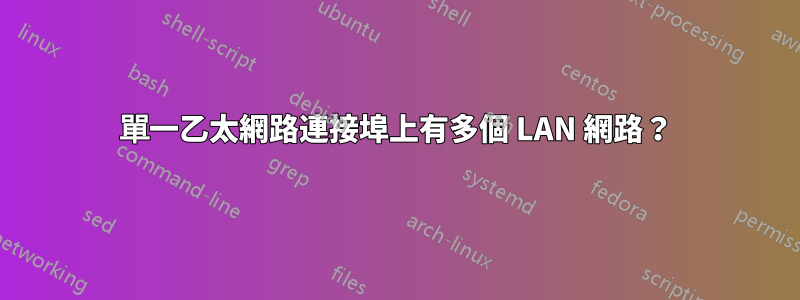 單一乙太網路連接埠上有多個 LAN 網路？