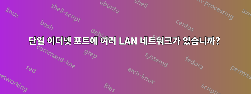 단일 이더넷 포트에 여러 LAN 네트워크가 있습니까?