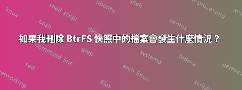 如果我刪除 BtrFS 快照中的檔案會發生什麼情況？