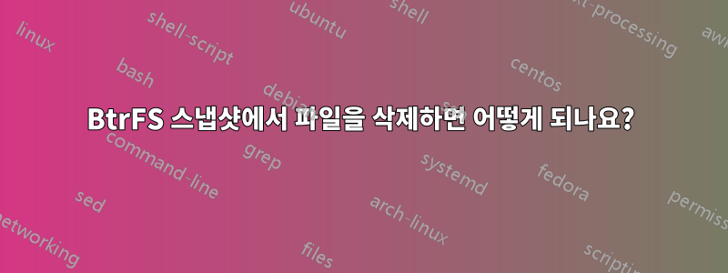 BtrFS 스냅샷에서 파일을 삭제하면 어떻게 되나요?