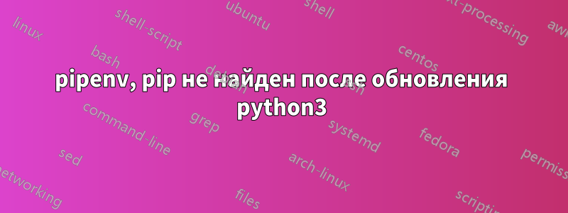 pipenv, pip не найден после обновления python3