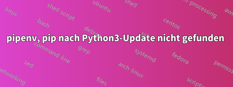 pipenv, pip nach Python3-Update nicht gefunden