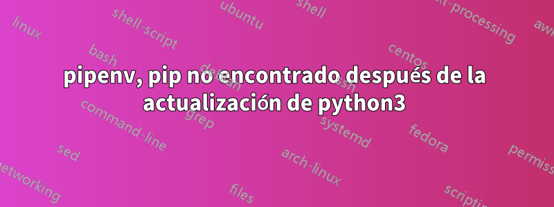 pipenv, pip no encontrado después de la actualización de python3