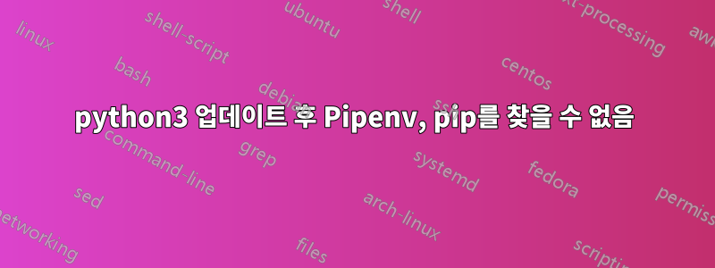 python3 업데이트 후 Pipenv, pip를 찾을 수 없음