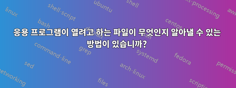 응용 프로그램이 열려고 하는 파일이 무엇인지 알아낼 수 있는 방법이 있습니까?