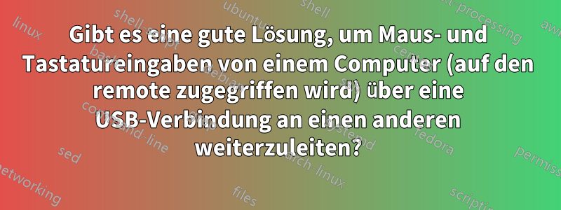 Gibt es eine gute Lösung, um Maus- und Tastatureingaben von einem Computer (auf den remote zugegriffen wird) über eine USB-Verbindung an einen anderen weiterzuleiten?