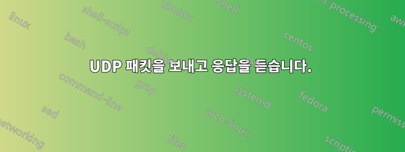 UDP 패킷을 보내고 응답을 듣습니다.