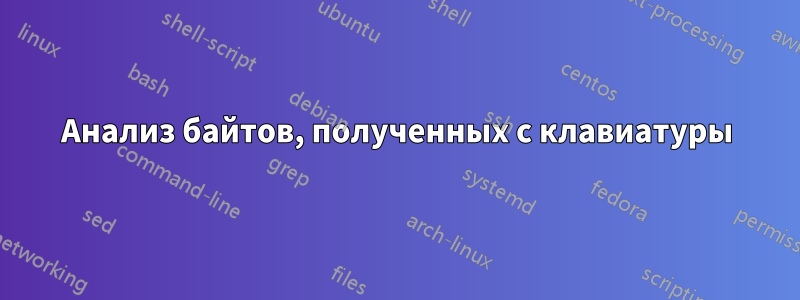 Анализ байтов, полученных с клавиатуры