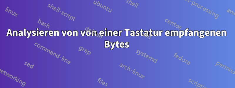 Analysieren von von einer Tastatur empfangenen Bytes