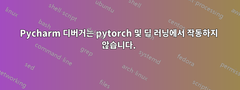 Pycharm 디버거는 pytorch 및 딥 러닝에서 작동하지 않습니다.