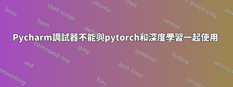 Pycharm調試器不能與pytorch和深度學習一起使用