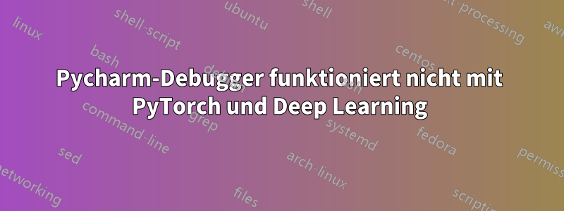 Pycharm-Debugger funktioniert nicht mit PyTorch und Deep Learning