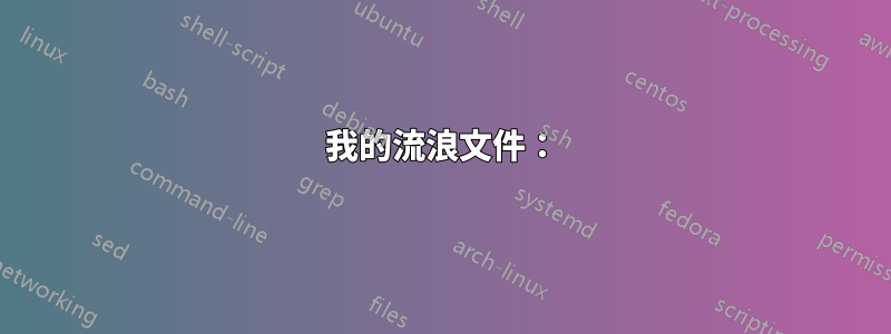 我的流浪文件：