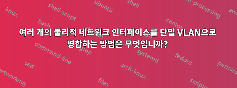 여러 개의 물리적 네트워크 인터페이스를 단일 VLAN으로 병합하는 방법은 무엇입니까?