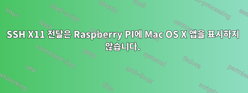 SSH X11 전달은 Raspberry PI에 Mac OS X 앱을 표시하지 않습니다.