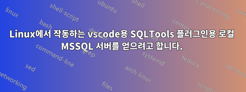 Linux에서 작동하는 vscode용 SQLTools 플러그인용 로컬 MSSQL 서버를 얻으려고 합니다.