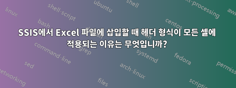 SSIS에서 Excel 파일에 삽입할 때 헤더 형식이 모든 셀에 적용되는 이유는 무엇입니까?