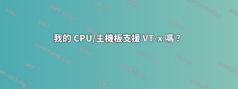 我的 CPU/主機板支援 VT-x 嗎？