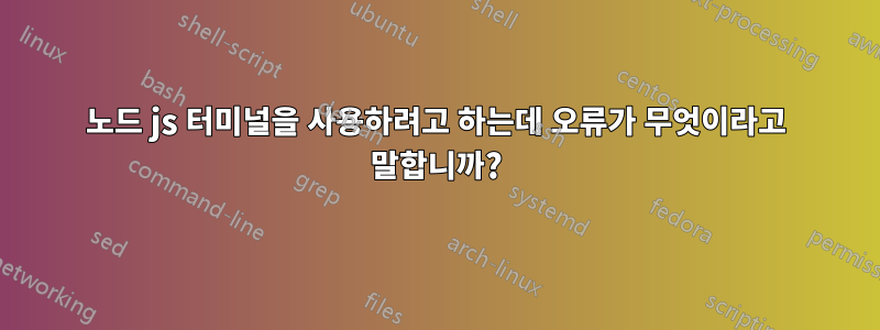 노드 js 터미널을 사용하려고 하는데 오류가 무엇이라고 말합니까?