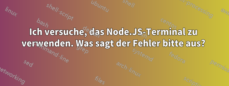 Ich versuche, das Node.JS-Terminal zu verwenden. Was sagt der Fehler bitte aus?