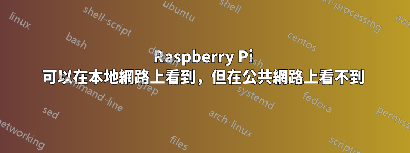 Raspberry Pi 可以在本地網路上看到，但在公共網路上看不到