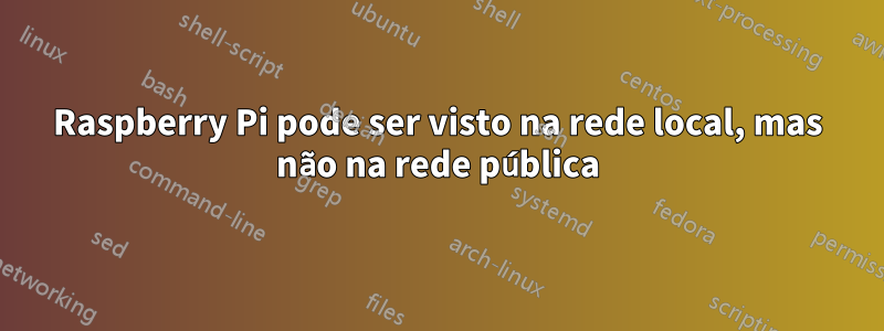 Raspberry Pi pode ser visto na rede local, mas não na rede pública