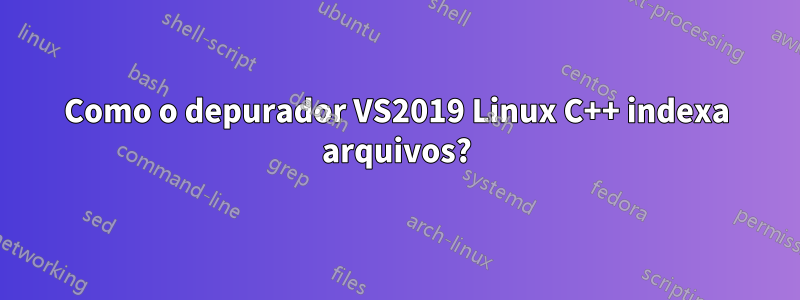 Como o depurador VS2019 Linux C++ indexa arquivos?