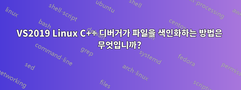 VS2019 Linux C++ 디버거가 파일을 색인화하는 방법은 무엇입니까?