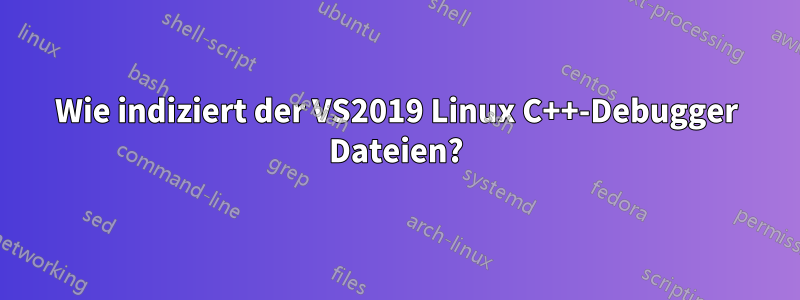 Wie indiziert der VS2019 Linux C++-Debugger Dateien?