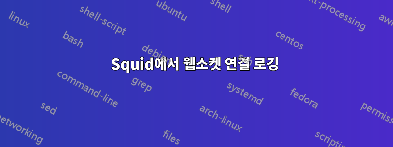 Squid에서 웹소켓 연결 로깅