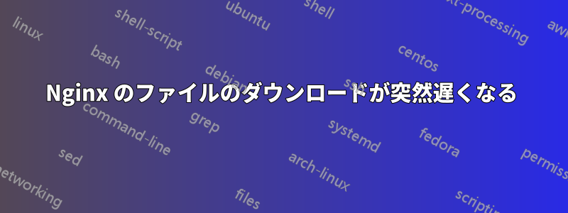 Nginx のファイルのダウンロードが突然遅くなる