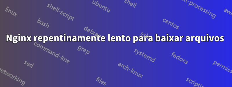 Nginx repentinamente lento para baixar arquivos