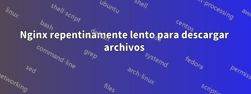 Nginx repentinamente lento para descargar archivos