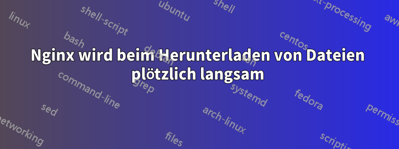 Nginx wird beim Herunterladen von Dateien plötzlich langsam