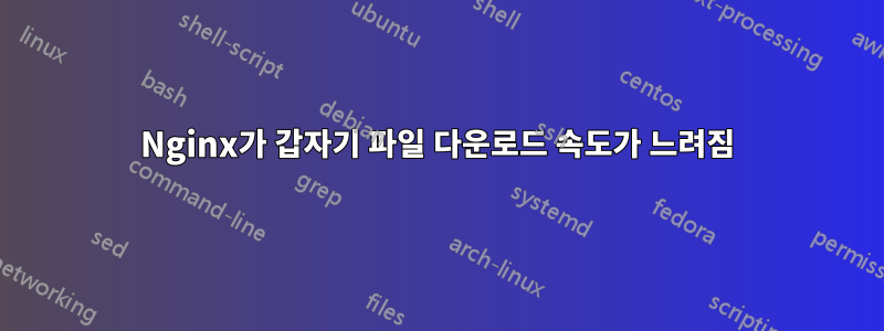 Nginx가 갑자기 파일 다운로드 속도가 느려짐