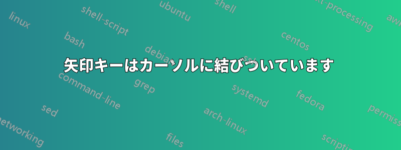 矢印キーはカーソルに結びついています