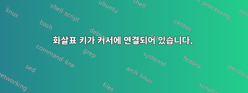 화살표 키가 커서에 연결되어 있습니다.